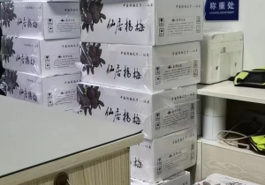 杭州到济南生鲜空运哪家便宜